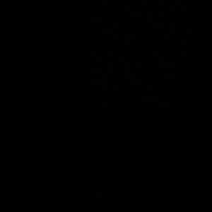 Meet your Posher, Isabel